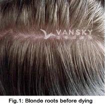 230713161216_Hair-Before Dying-s.jpg